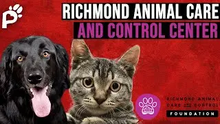 Addressing Compassion Fatigue | Richmond Animal Care and Control Center | Pawareness Podcast Ep. 68