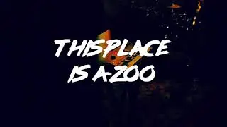 This Place Is A Zoo live Burgerwolf 5 year