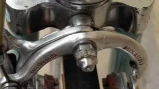 Rassegna bici corsa