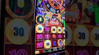 Cash Raccoons Slot Machine | $1.32 bet | 6 free games | Jan 3, 2026