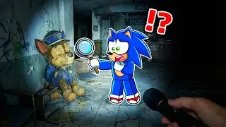 SONIC ENCONTROU a PATRULHA CANINA ABANDONADA...