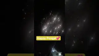 Happy Pongal2026 #reels #instagramreels #motivation #entertainment #love #happypongal #pattasu
