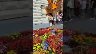 ЦВЕТОЧНАЯ ФЕЕРИЯ ГУМА/BEAUTIFUL FLOWERS IN GUM  #moscow  #travel #nature