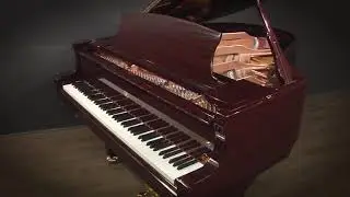 Pramberger JP-175 5'9