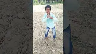 nadine dance