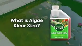 What is Algae Klear Xtra?