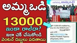 how to check ammavodi payment status|ammavodi payment status 2022|ammavodi payment status new link