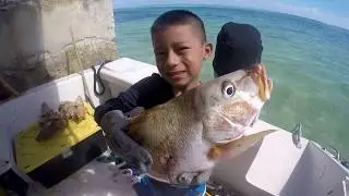 Belize Ambergris caye. Spearfishing on the drop off of Ambergris caye
