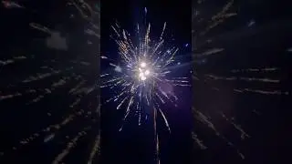 Eagle Pride Firework 30 Shots!