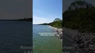 Nawautin Nature sanctuary #lake #ontario #canada #beach #oquefazer #turismo #nature