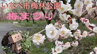 【Motovlog】#90 東海地区最大の梅苑！いなべ市梅林公園 HONDA VTR-F 250cc SONY HDR-AS300