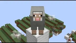 What is the Most Efficient Wool Farm?