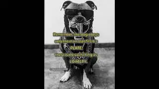 Best quote .. Dog nd loyalty . Deep quote.