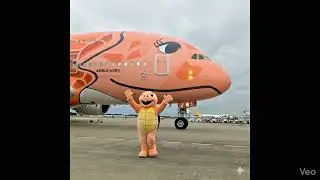 D&uuml;nyanın En Şirin U&ccedil;ağı: ANA Flying Honu 🧡, Dev Kaplumbağa U&ccedil;akla Tanışıyor! 🐢✈️