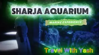 Top Beautiful Place In UAE (Sharjah Aquarium) ඩුබායි   ලස්සන තැන් බලන්න එන්න මාත් එක්ක 🇦🇪🇱🇰