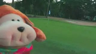 Yuppy The Puppy terrorizes Mr. Golfer's golf course