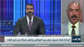 صبري يكشف اسباب إصابة المواشي في العراق بمرض الحمى القلاعية وخطورتها على المواطنين