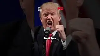 Tariffs, Ego and a Missed Call: Inside Modi‑Trump Fallout | Mo of Everything