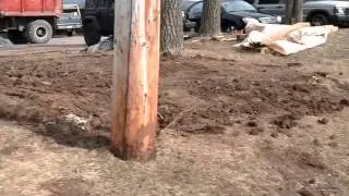 Cookie Camaro part 1