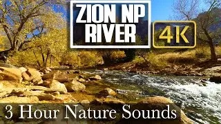 4K - 3 HR - Relaxing Zion Virgin River Meditation - Desert Nature For Sleep and Calm Relaxation