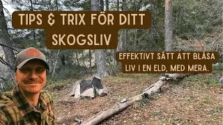 En kort tur i skogen med enkla och anv&auml;ndbara tips, rotmos och chorizo