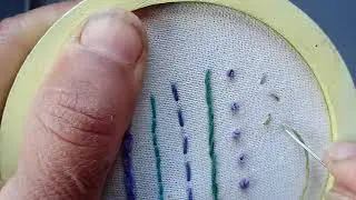 6 Punto semilla