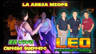 LA ABEJA MIOPE, LA CHONA, FIN DE SEMANA - LEO Y SU CANDELA TROPICAL EN VIVO CARIDAD GUERRERO 2022