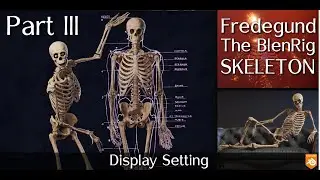 Fredegund - The BlenRig Skeleton. Part 3 Display Settings