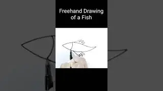 How to draw a Fish 🐠🐋🐟 | Freehand Drawing
