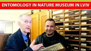 How Entomologists Study Collections at Scientific Nature Museum in Lviv, Ukraine? Entomology Story.