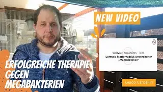 EXKLUSIV!!! Therapie gegen Megabakterien - Macrorhabdiose Waldvogel Krankheiten Teil 4 #31