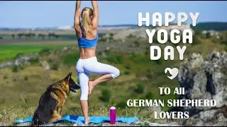 International Yoga Day: Wishes To All German Shepherd Dog (GSD) Lovers