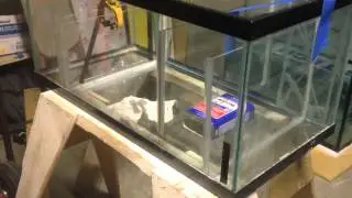 ИНСТРУКЦИЯ: САМОП ДЛЯ РИФОВОГО АКВАРИУМА