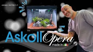 ALLESTIMENTO acquario ASKOLL OPERA 110