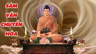 S&aacute;m Văn Ph&ograve;ng Hộ Chuyển H&oacute;a  Nghiệp ( Rất &Yacute; Nghĩa) Thiện T&acirc;m TV