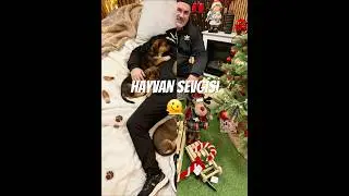 Hayvan Sevgisi 🫠🆎ONE DESTEK İKİ G&Ouml;Z&Uuml;M 🤗#hayvansever #shortvideo #video #keşfet #1m #sevgi #huzur