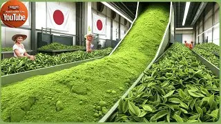 Inside the Matcha Factory: How Japan&rsquo;s Finest Green Tea Powder Is Made