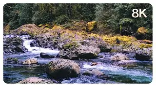 8K River Ambience (No AI) &bull; Relaxing Pacific Northwest Mountains &bull; Meditative Water Sounds