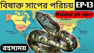 বিষাক্ত সাপের পরিচয় | Identification of Venomous Snakes | EP-13| #malabarpitviper #unknownknowledge