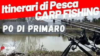 Tattica e Tecnica di Carpfishing nel Po di Primaro