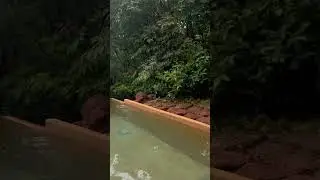 Pool 🏊&zwj;♀️ cottage wildernest resort chorla ghat #Goa 💖💖must include in next Goa itinerary #travel