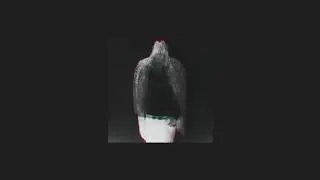 [ Free ] Future - The Wizrd Type Beat - HNDRXX [Prod. Lil Kyte]
