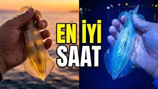 Kalamar Nasıl G&ouml;r&uuml;r? Nasıl Avlanır? Kalamar Avı İ&ccedil;in En İyi Aylar ve Saatler