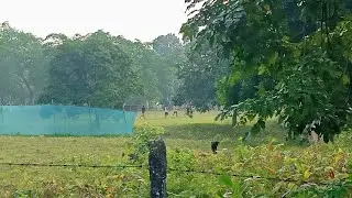 Assam Police physical test || 2nd group 01/11/2021