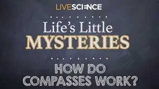 How Do Compasses Work? &mdash; Live Science