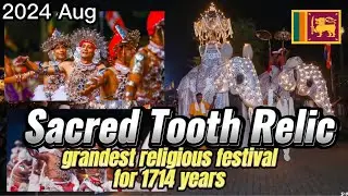 Grandest religious festival in Sri Lanka | Kandy procession 2024