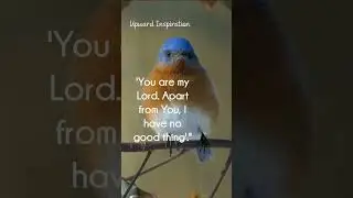 Yahweh is all we need #attitude #life #best #bible #success #motivation #inspiration #today #shorts