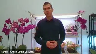 Ask the Orchid Doctor February 27th, 2021