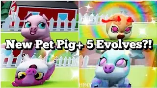 New Pet Pig+ 5 Evolves?!! 😍🐷🌈  (Roblox RoPets Tea) ||DiamondReigns