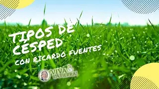 Segundo capítulo: Tipos de césped, visita a Newgrass